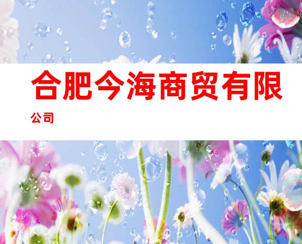 合肥今海商贸有限公司